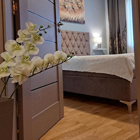 Apartman 49 Subotica Zewnętrze zdjęcie