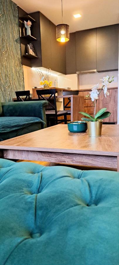 Apartman 49 Subotica Zewnętrze zdjęcie